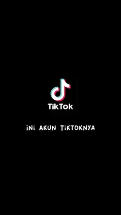 Punya tiktok gak?