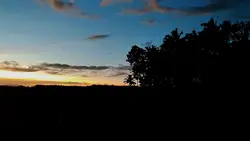 Videography