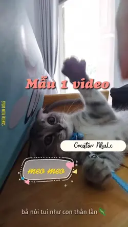 Mẫu 1 video