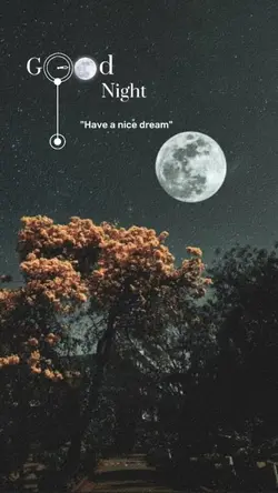 #night