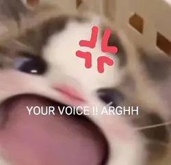 your voice