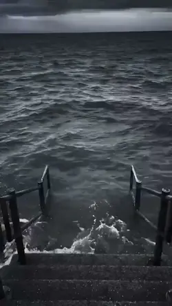 Con mèo làm gì thế 