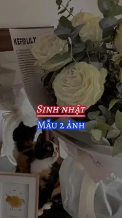 Sinh nhật Hieuthuhai