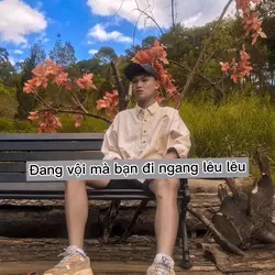 Xin Là Xin Vĩnh Biệt