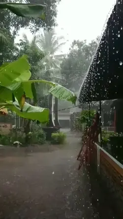 seperti hujan