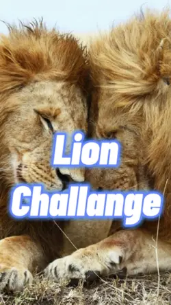 #lionchallange