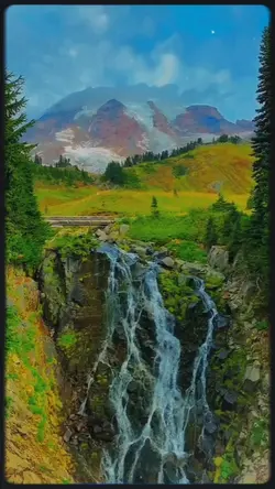 = VIEW =
