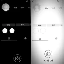 인싸들 스토리에 있던 그 템플릿