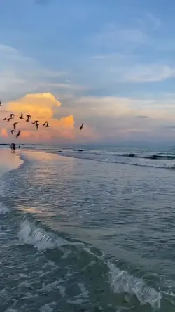 mentahan.video