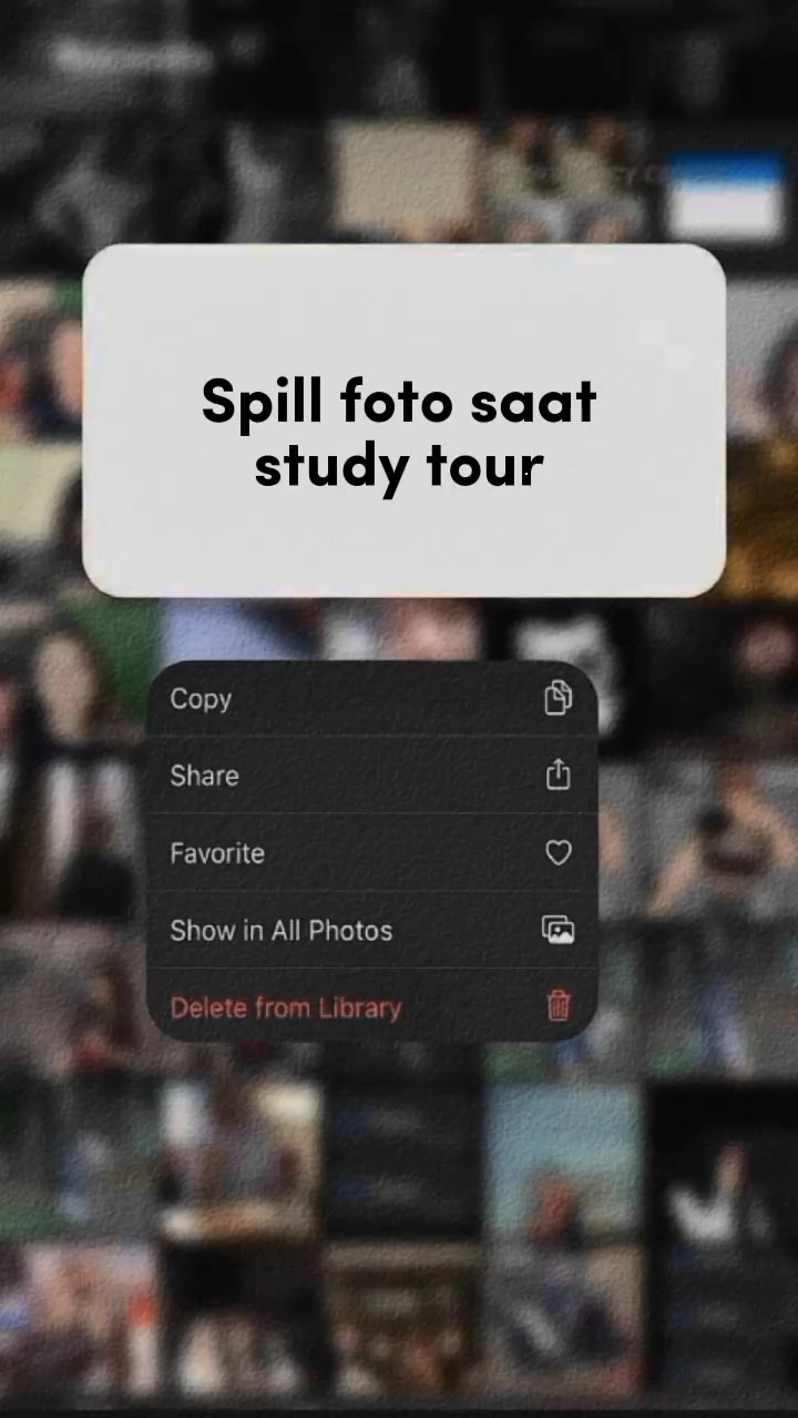 spil foto study tour