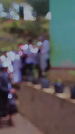 Ayo mondok