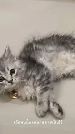 เป็นเปรตตตตต