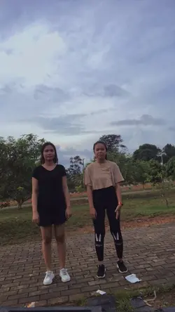 Video 1