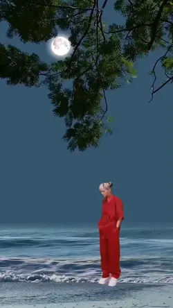bờ biển và ánh trăng
