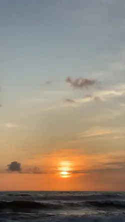 see fire to the rain