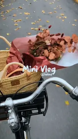 mini vlog weekend 