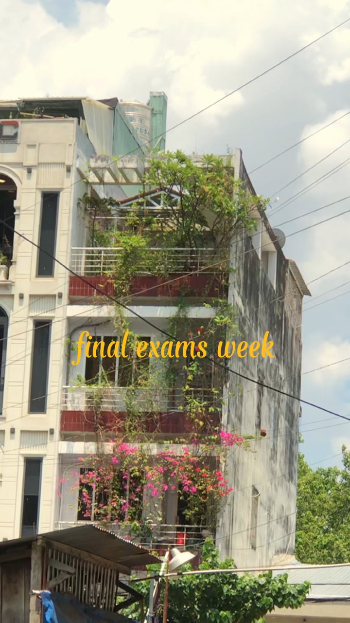 studyvlog 🌷✨/màu 