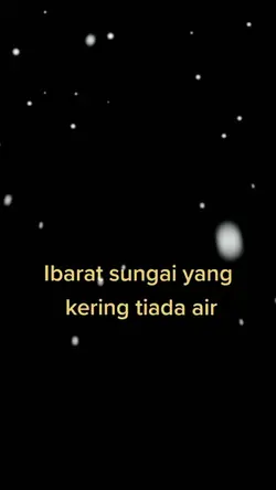 CapCut