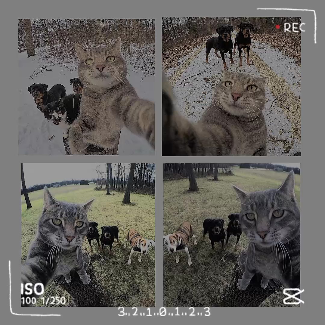 best friend 