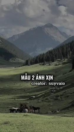 [2] chinh cá:<