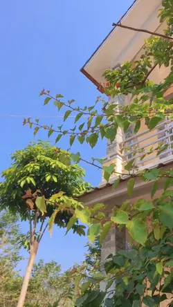 Bình yên, nhẹ nhàng 