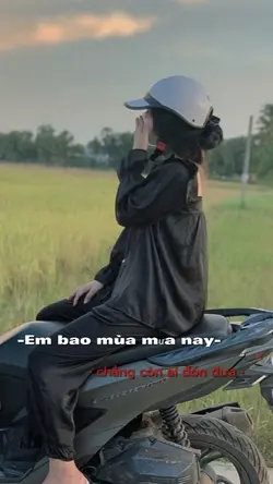 NÀY BÁNH CHƯNG XANH