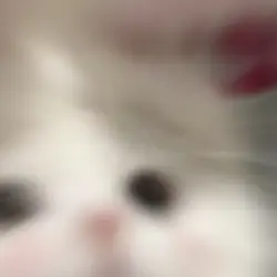 웅 구라야 라고 할줄 알았냐