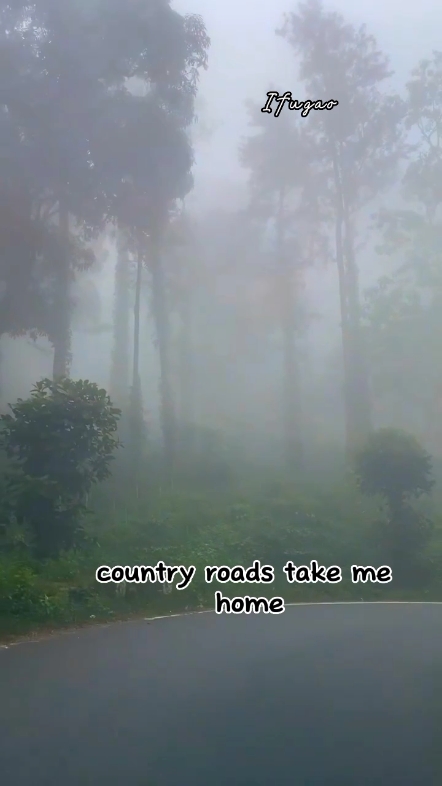 Take Me Home