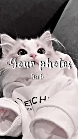 TikTokで流行りの音源!