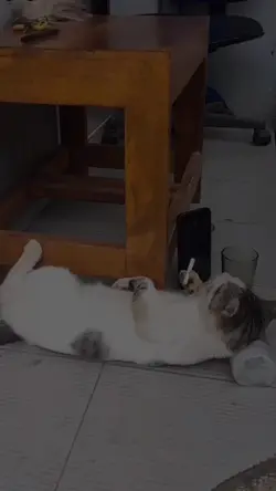 Mentahan video