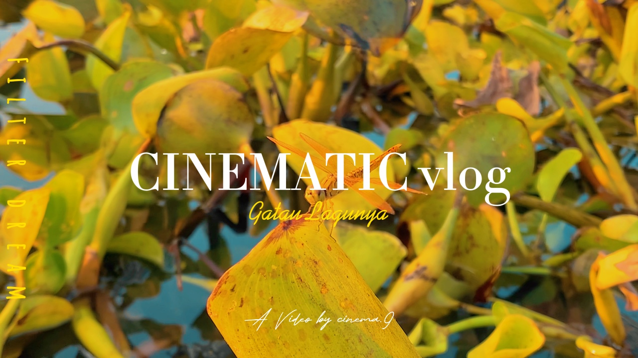 Cinematic  vlog