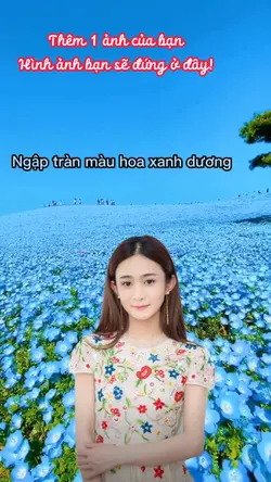 Cánh đồng hoa xanh 
