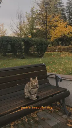 Beautiful dayyyy🤌