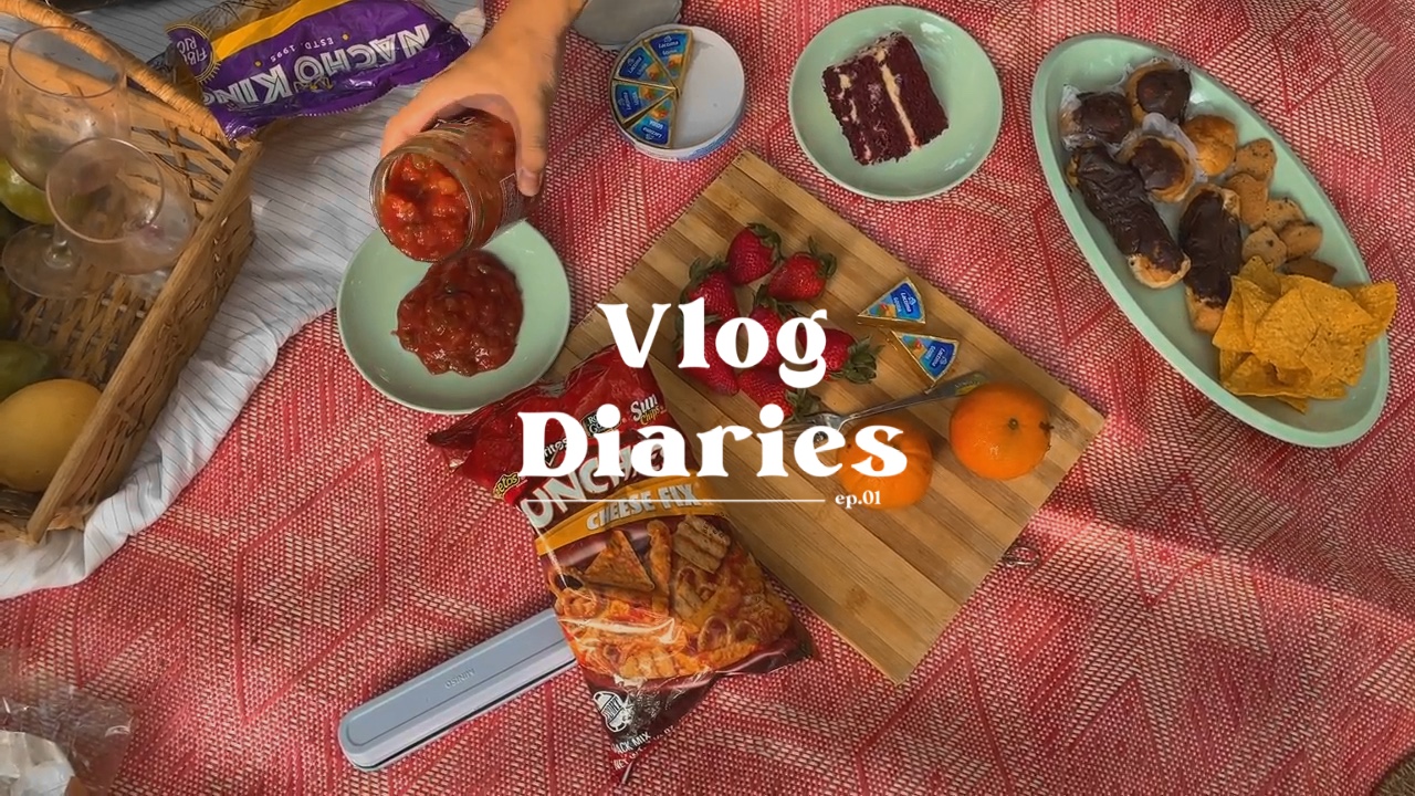 VLOG DIARIES 