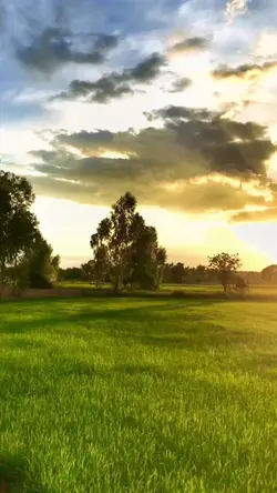 เปิดเพลงเบาๆ