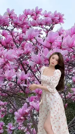Vườn hoa đẹp