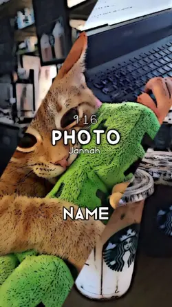 #Habibi