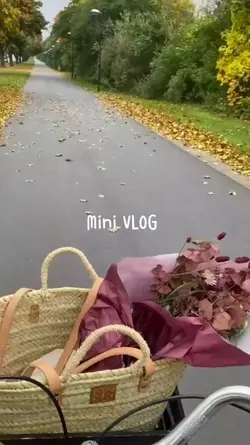VLOG 7 Video / Foto