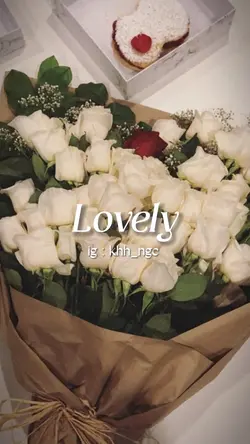 Mẫu 2 ảnh / video