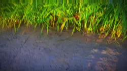 bầu trời