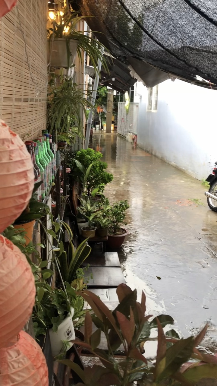 Mẫu 30 ảnh