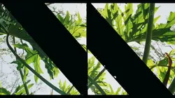 TRANSISI VIDEO KEREN