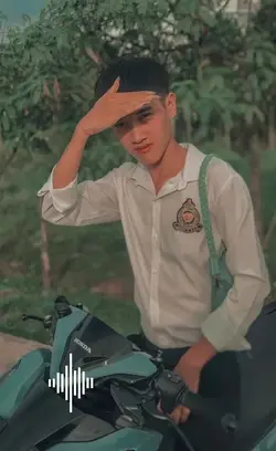 bánh chưng nhân tết