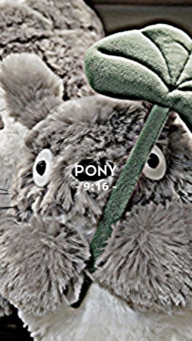 PONY