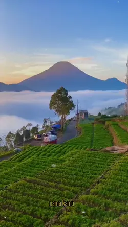 kesaksian diri