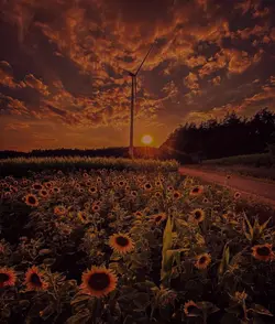 🎶SEGALANYA KU TERIMA