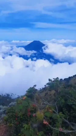 estetik view
