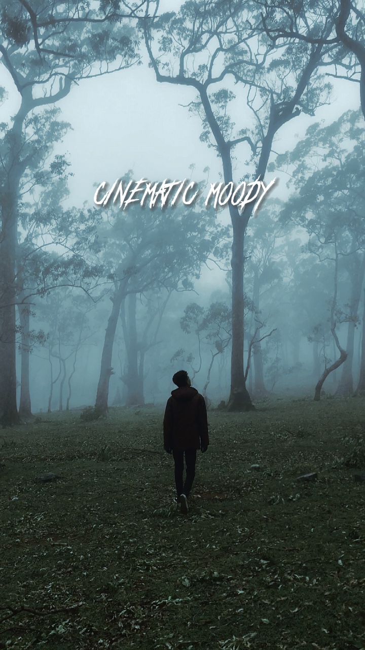 Cinematic template