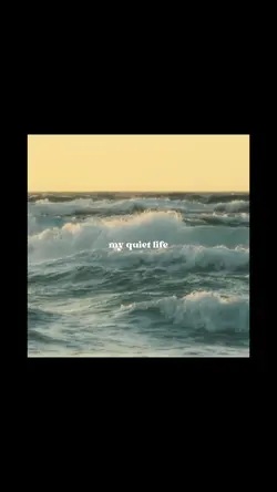 my quiet life
