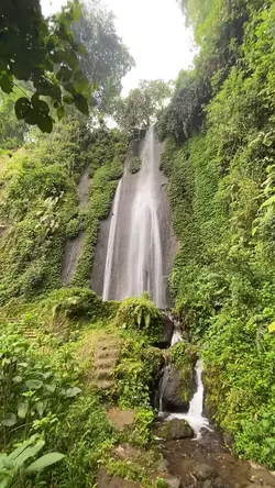 Tanpa filter 